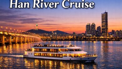 han river cruise